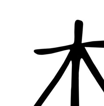 reiki en seichem cursus zwolle